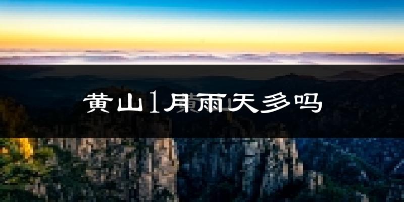 黄山1月雨天多吗?