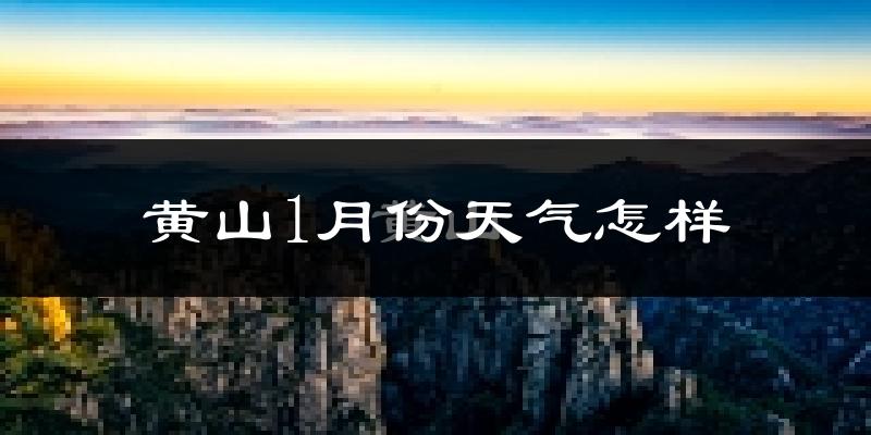 黄山1月份天气如何?很冷吗?