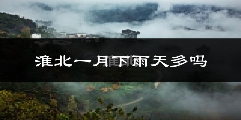 淮北一月下雨天多吗?淮北1月份降雨量多少?