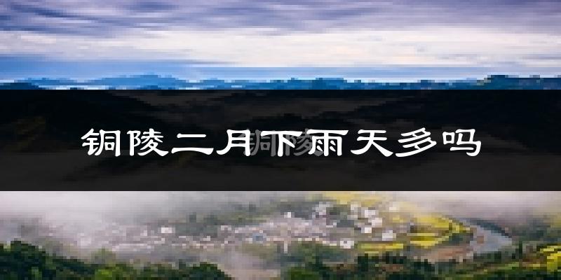 铜陵二月下雨天多吗?铜陵2月份降雨量多少?