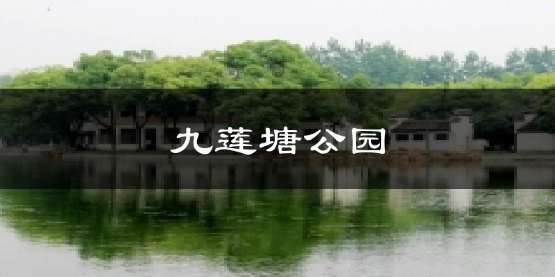 九莲塘公园天气预报十五天