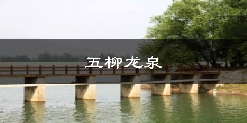 五柳龙泉天气预报十五天