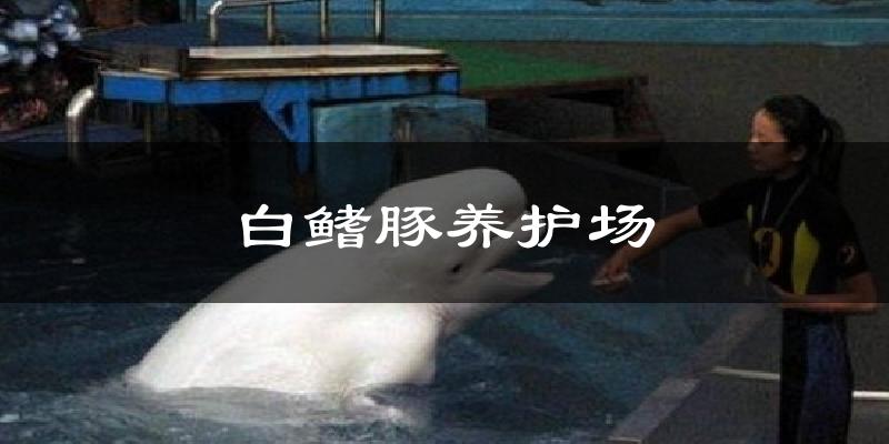 白鳍豚养护场天气预报十五天