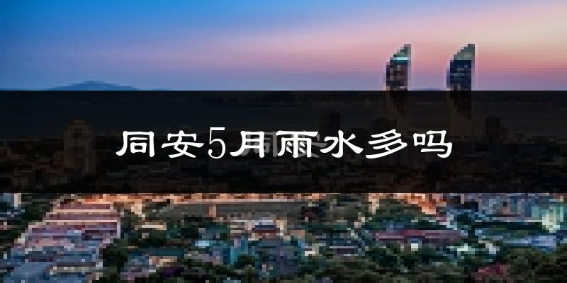 同安5月雨水多吗?