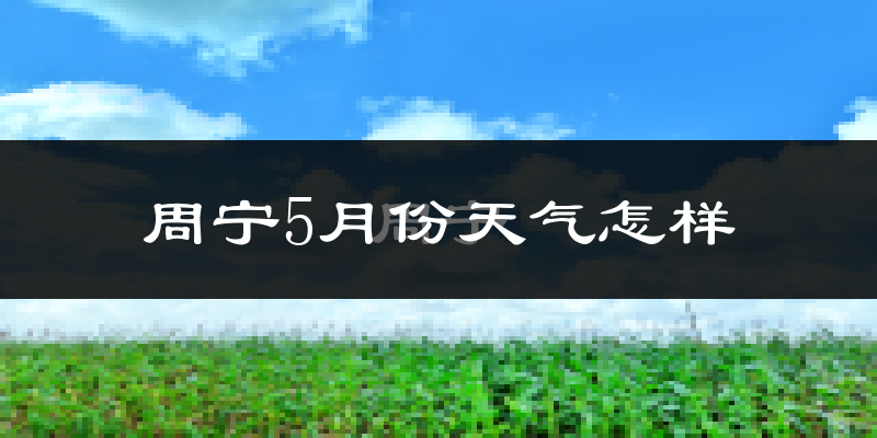 周宁县5月份天气如何?很冷吗?