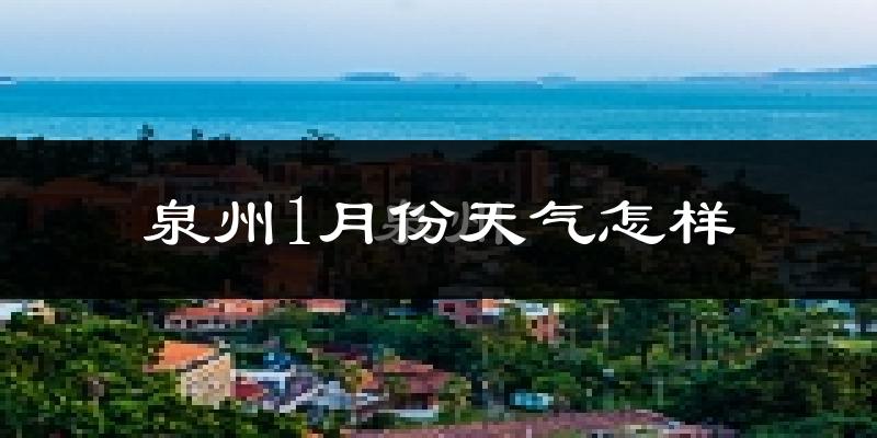 泉州1月份天气如何?很冷吗?