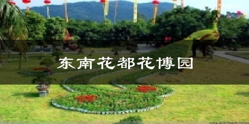 东南花都花博园天气预报十五天