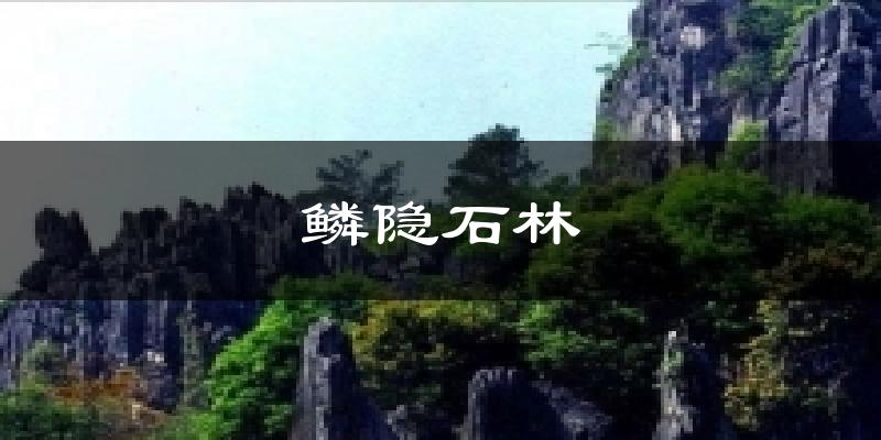 鳞隐石林天气预报十五天