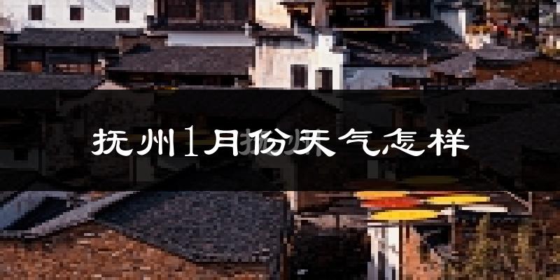 抚州市1月份天气如何?很冷吗?