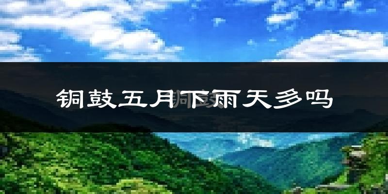 铜鼓五月下雨天多吗?铜鼓5月份降雨量多少?