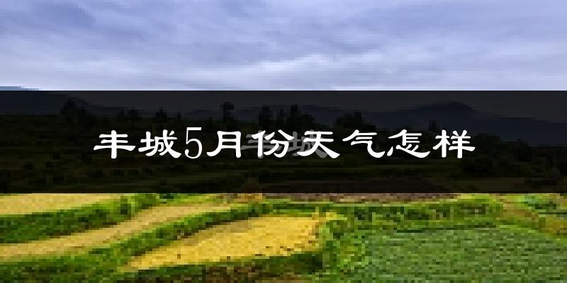丰城市5月份天气如何?很热吗?