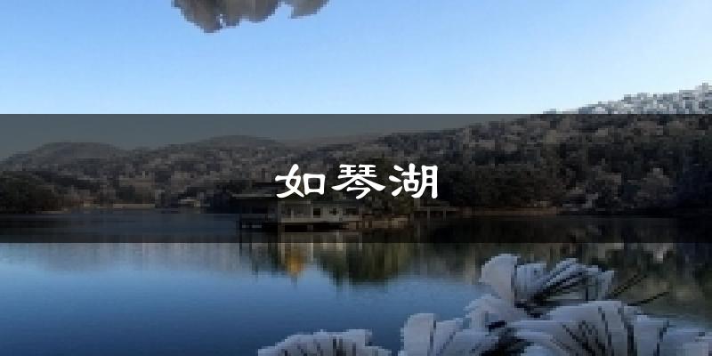如琴湖天气预报十五天