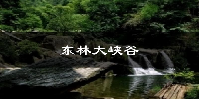 东林大峡谷天气预报十五天