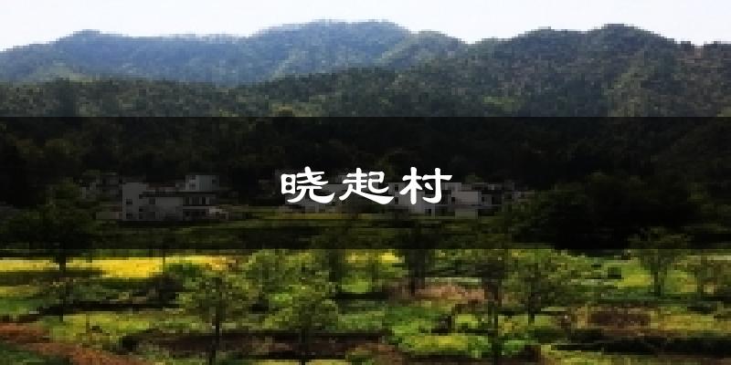 晓起村天气预报十五天
