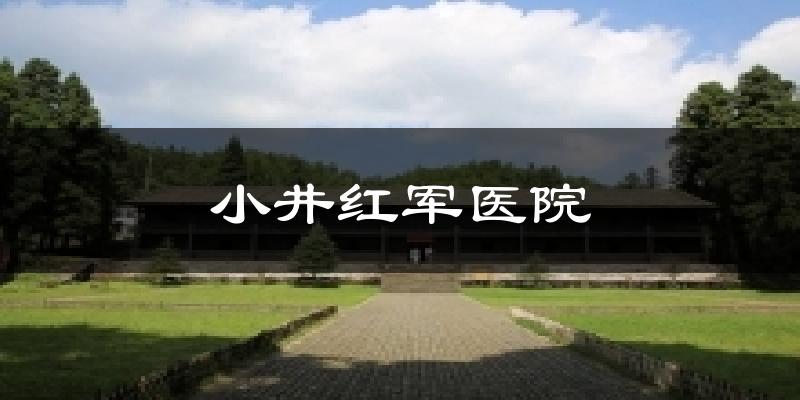 小井红军医院天气预报十五天