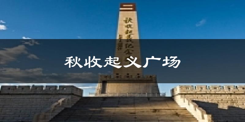 秋收起义广场天气预报十五天