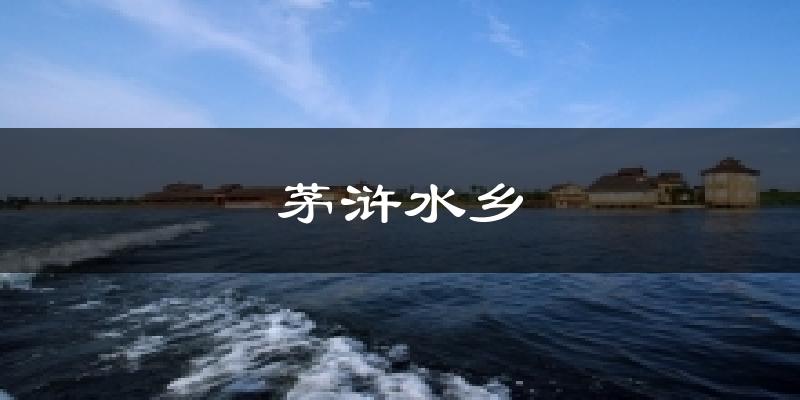 茅浒水乡今日天气
