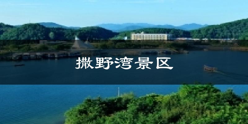 撒野湾景区今日天气
