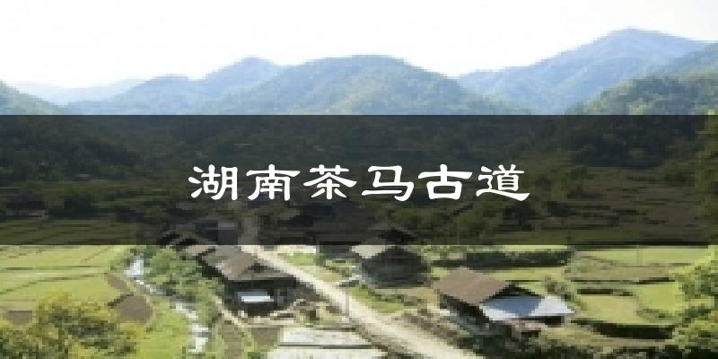 湖南茶马古道气温