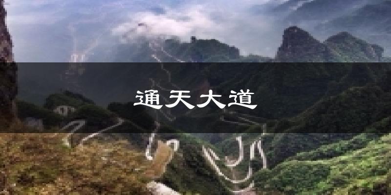 通天大道天气预报十五天