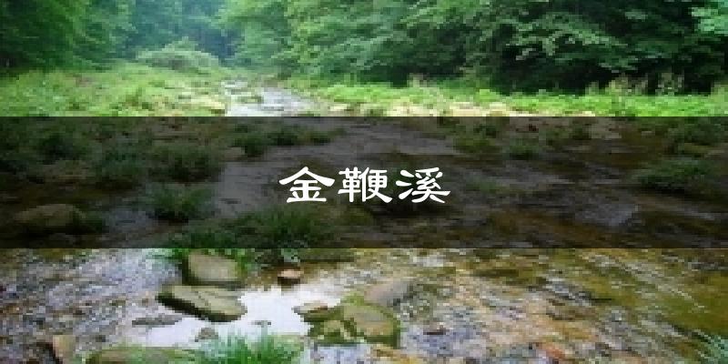 金鞭溪今日天气