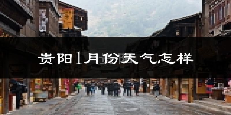贵阳1月份天气如何?很冷吗?