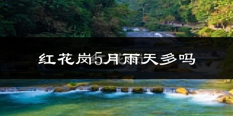 红花岗5月雨天多吗?
