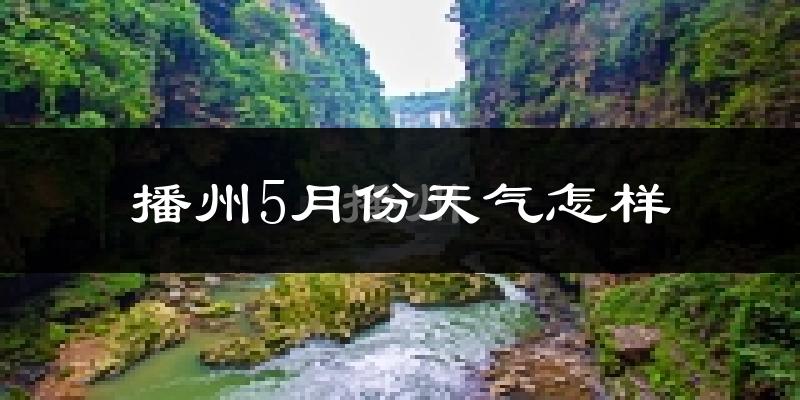 播州5月份天气怎样?播州五月冷吗?