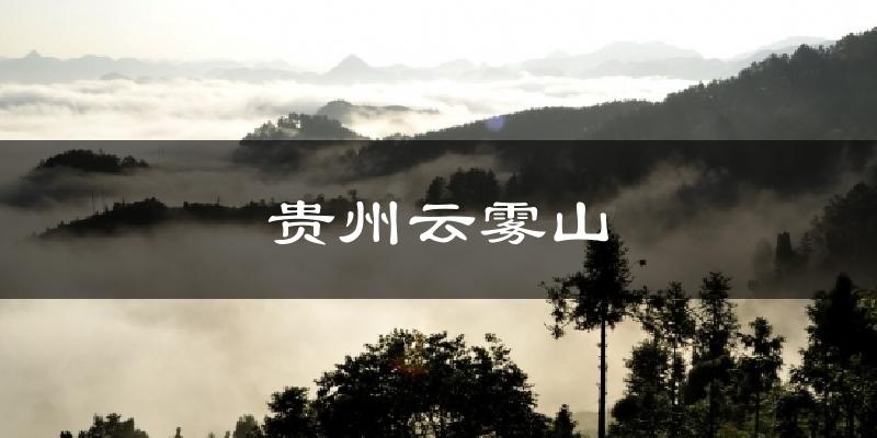 贵州云雾山天气预报十五天