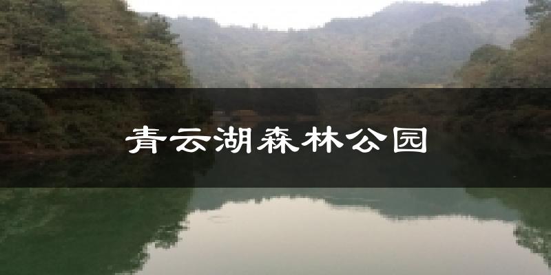 青云湖森林公园天气预报十五天
