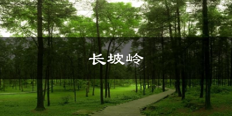 长坡岭天气预报十五天