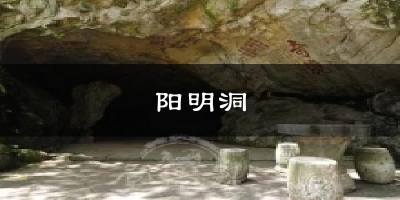 阳明洞天气预报十五天