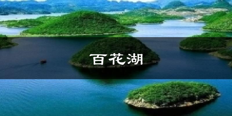 百花湖天气预报十五天