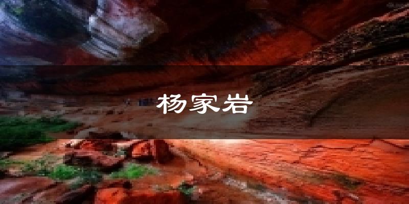 杨家岩天气预报十五天
