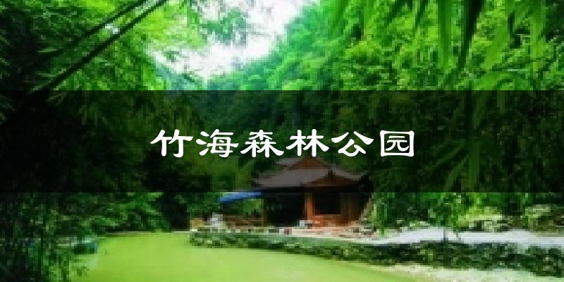 竹海森林公园天气预报十五天