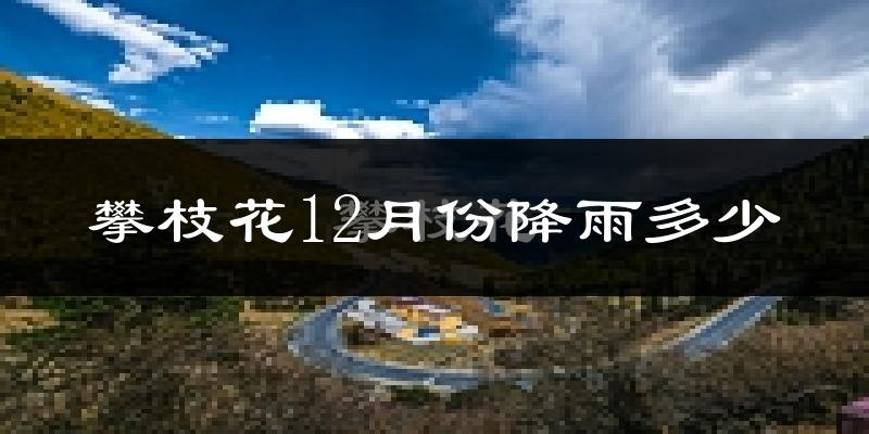 攀枝花12月份降雨多少?