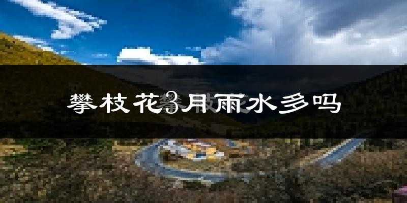攀枝花3月雨水多吗?
