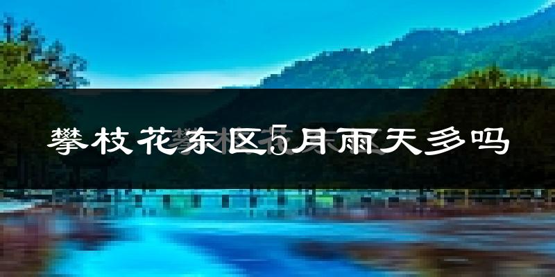 攀枝花东区5月雨天多吗?