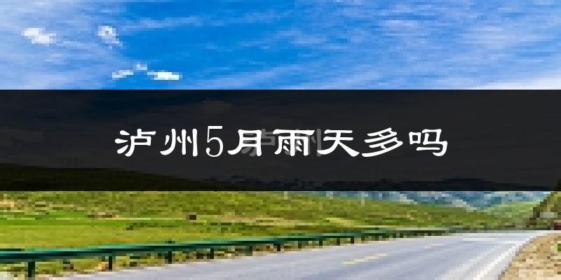 泸州5月雨天多吗?