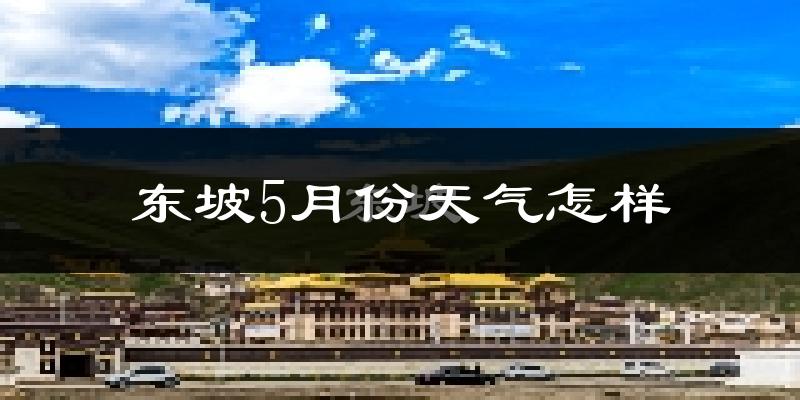 东坡5月份天气怎样?东坡五月冷不冷?