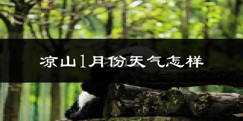 凉山彝族自治州1月份天气如何?很冷吗?