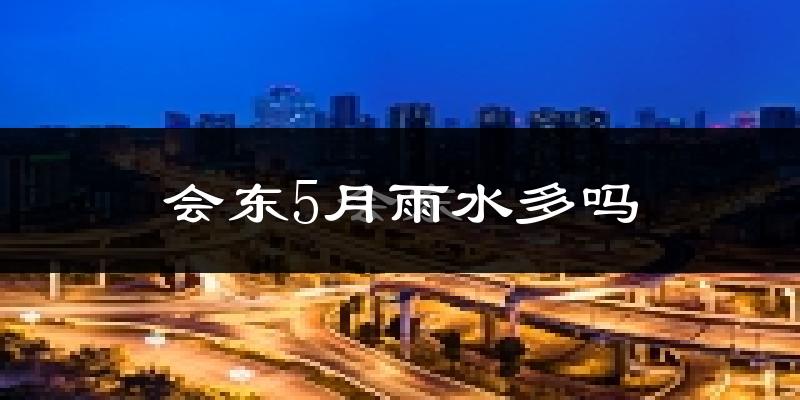 会东5月雨水多吗?