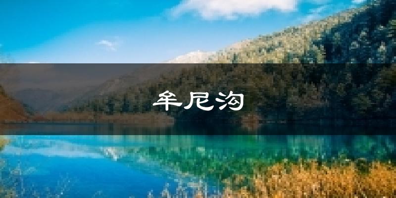 牟尼沟天气预报十五天