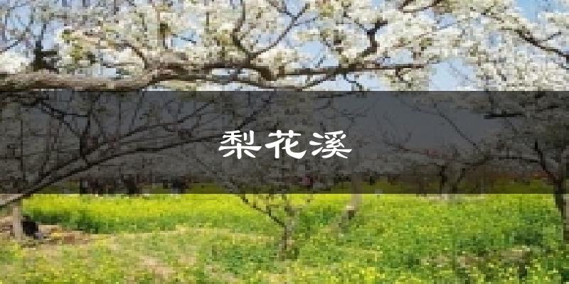 梨花溪天气预报十五天