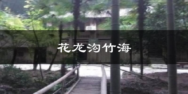 花龙沟竹海天气预报十五天