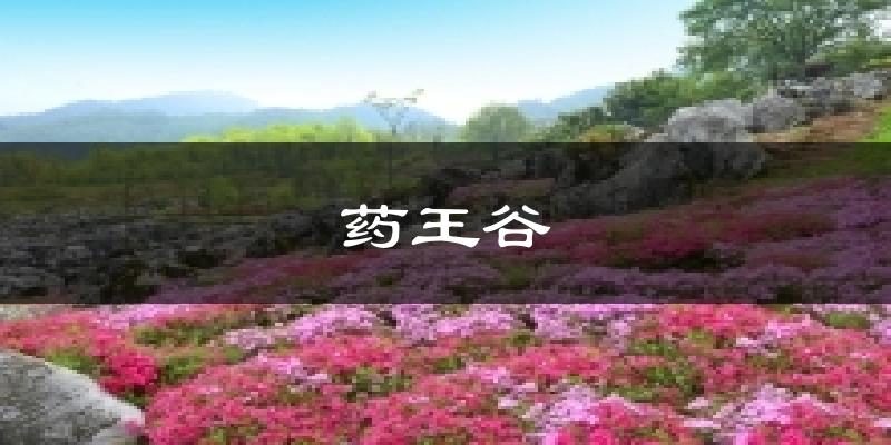 药王谷天气预报十五天