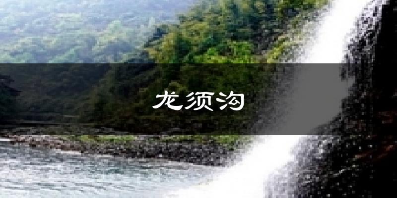 龙须沟天气预报十五天