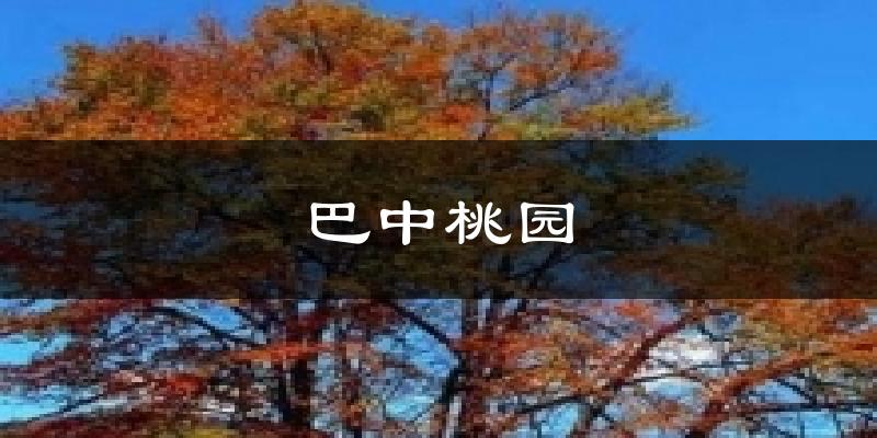 巴中桃园天气预报十五天