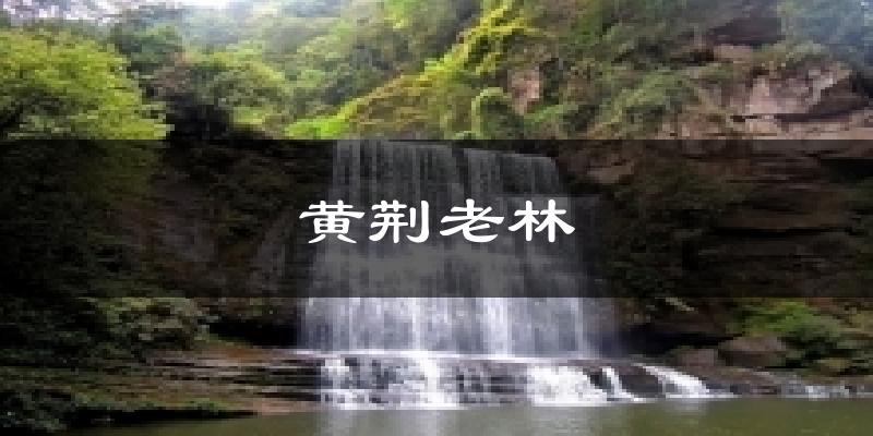 黄荆老林天气预报十五天