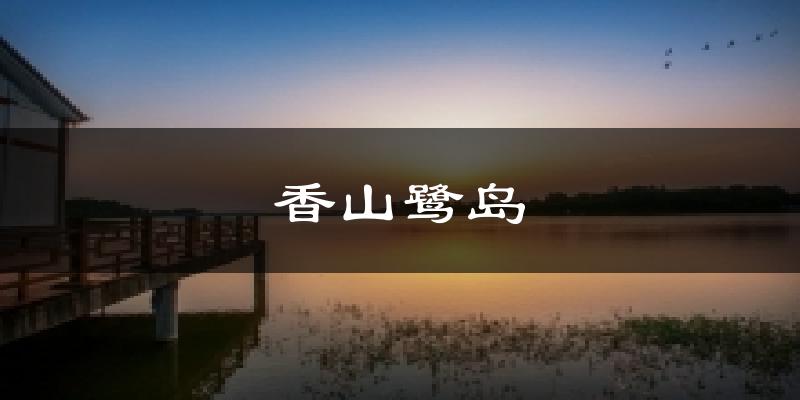 香山鹭岛天气预报十五天